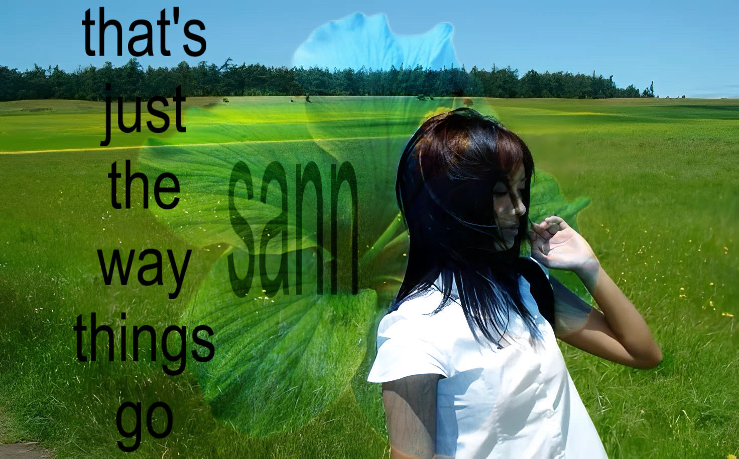 way things go (sann)